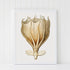 white framed octopus print wall art